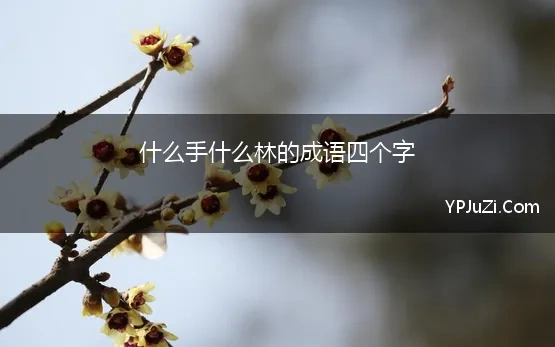 什么手什么林的成语四个字 四字成语什么林什么竹什么