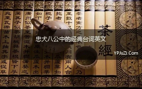 忠犬八公中的经典台词英文(忠犬八公的故事中英文经典台词)